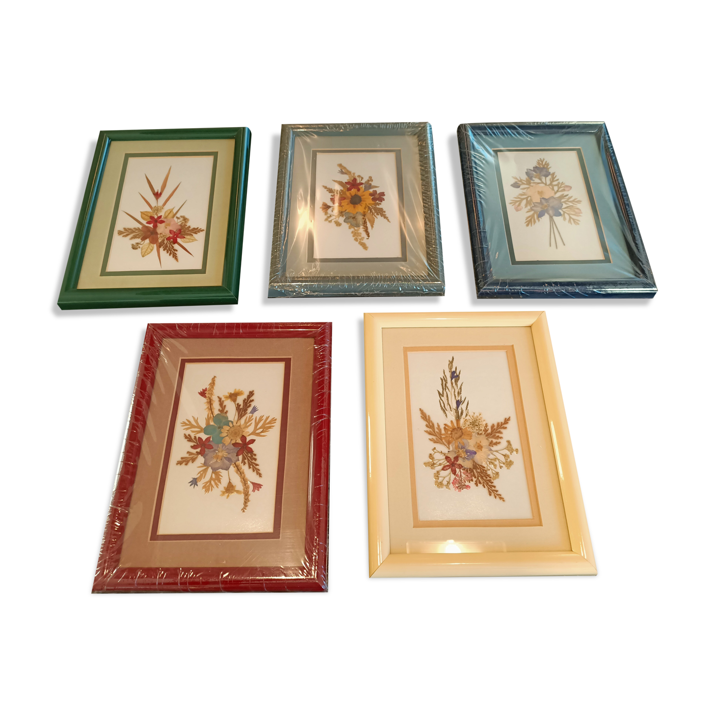 5 herbariums, framed floral arrangement