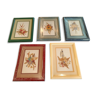 5 herbariums, framed floral arrangement