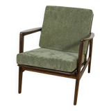 Model 300-139 Armchair from Swarzędz Furniture Factory, 1960s