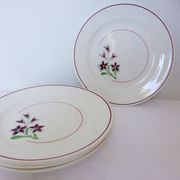 4 vintage flat plates from the Salins factory 210636