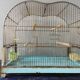 Vintage birdcage
