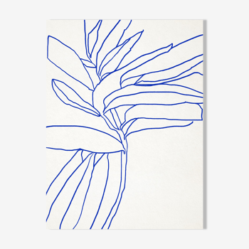 Botanical illustration print, A3