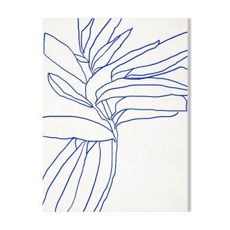 Illustration botanique, A3