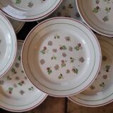 11 dinner plates decorated with stylized roses. 1950s. 11 dinner plates