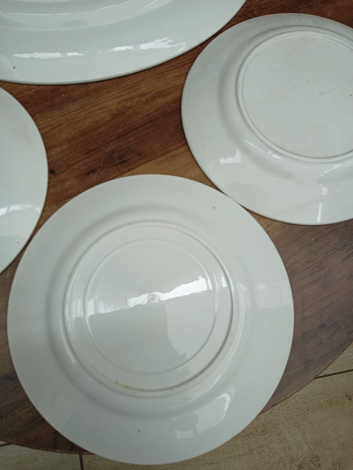 Lot 1 large oval dish and 3 bird plates Green background