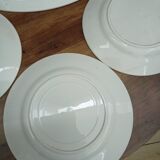 Lot 1 large oval dish and 3 bird plates Green background