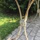Dining garden of wood and wrought iron early twentieth