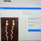 2 large bronze snake cobra wall lights mid century decor candle holder