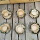 Set of 6 coffee cups with morvan sandstone saucers