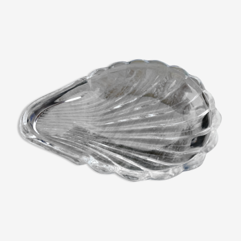 Scallop shell