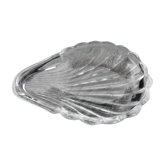 Scallop shell