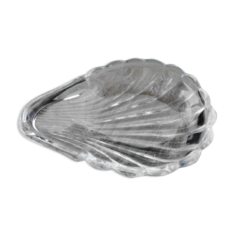 Scallop shell