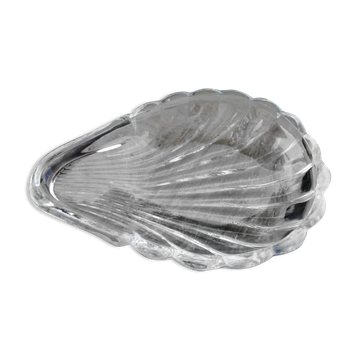 Coquille saint jacques