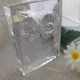 Paperweight signed daum France owl owls