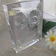 Paperweight signed daum France owl owls
