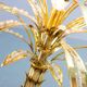 Exquisite Italian Golden Palm Tree Floor Lamp with 3 Sparkling Branches 70s