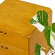 Commode modulaire « Samara » de Derk Jan de Vries pour Maisa, Pays-Bas, années 1970