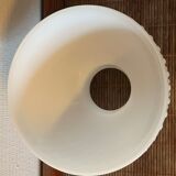 Vintage lampshade globe