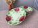 Assiettes antiques en majolique