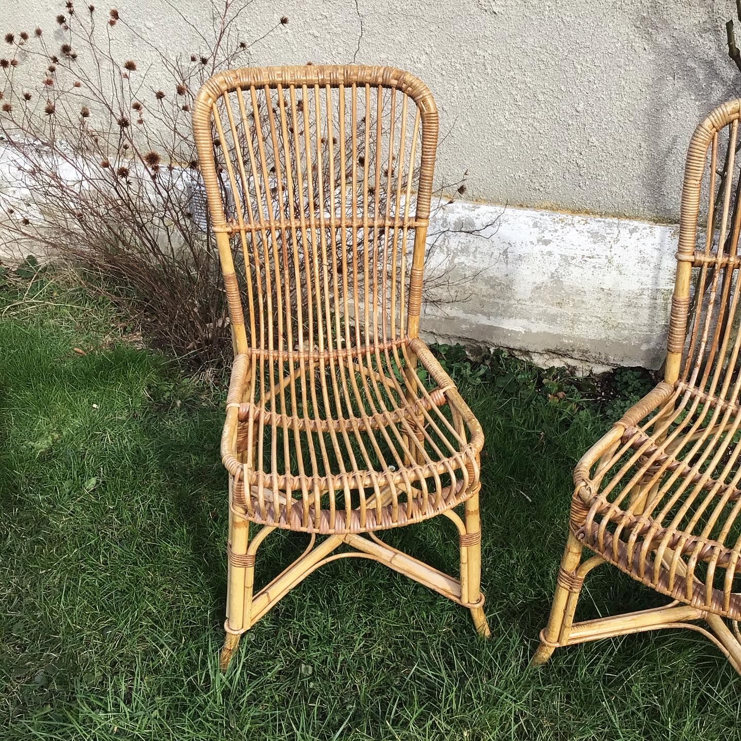 Pair of rattan chairs