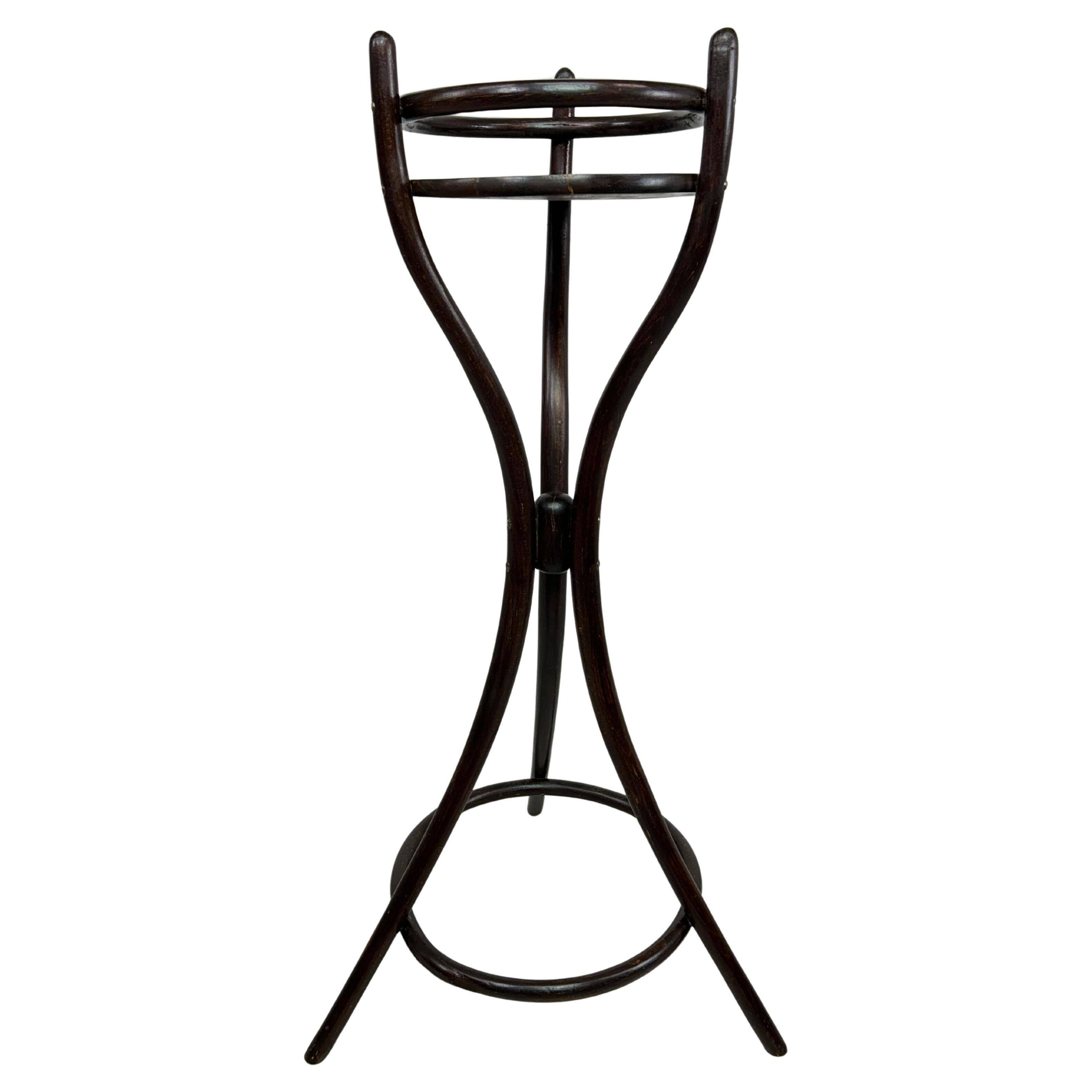 Porte-plante en bois courbé par Thonet
