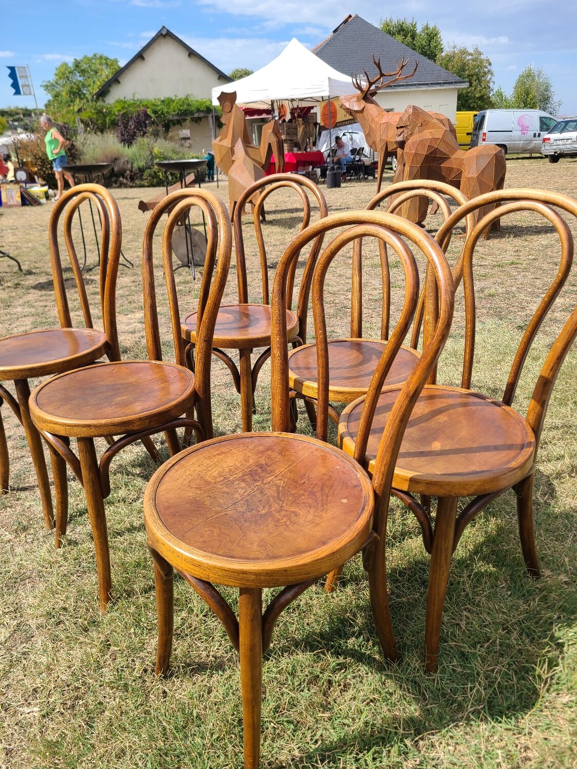 6 bentwood chairs early 20th