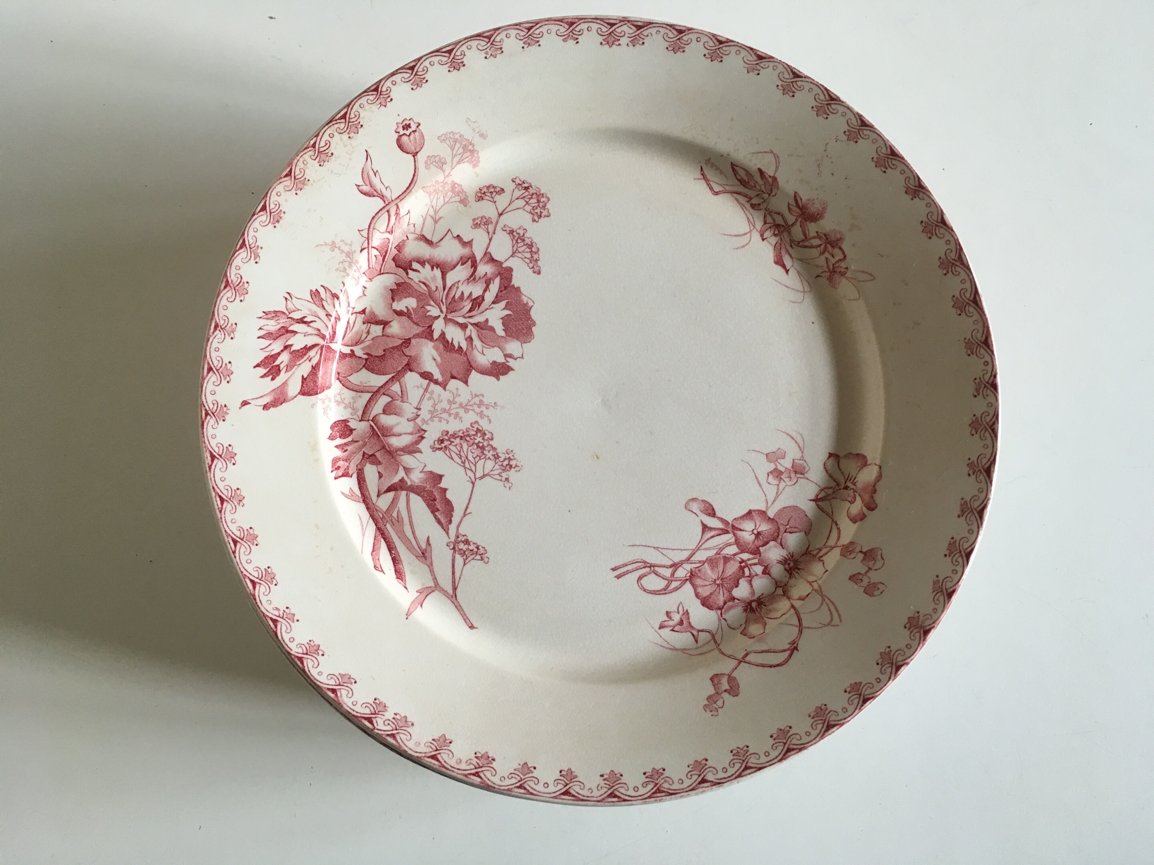 Set of 12 dinner plates of Sarreguemines land of iron décor Vega early 20th