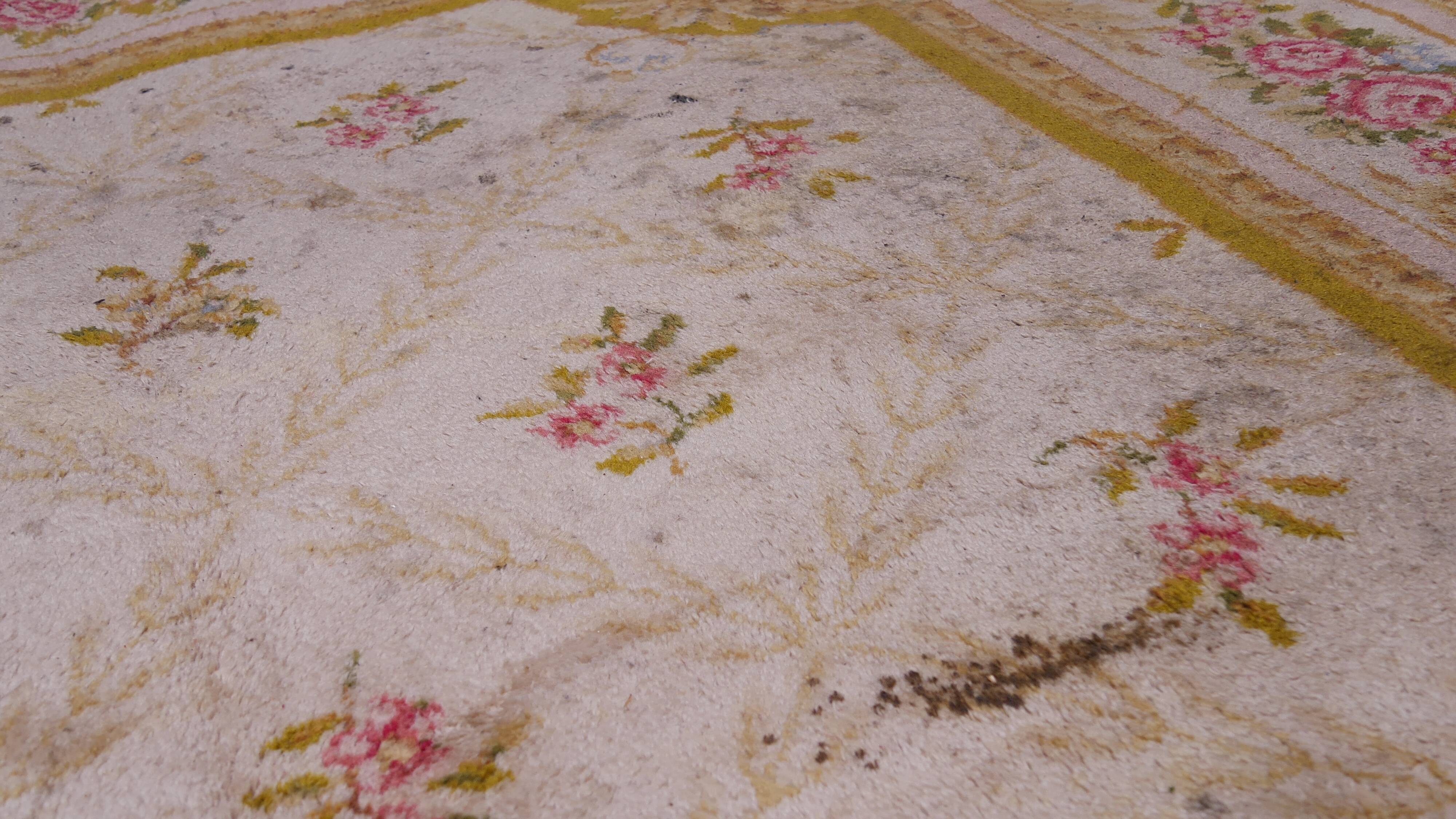 Carpet Aubusson 292 x 198 cm
