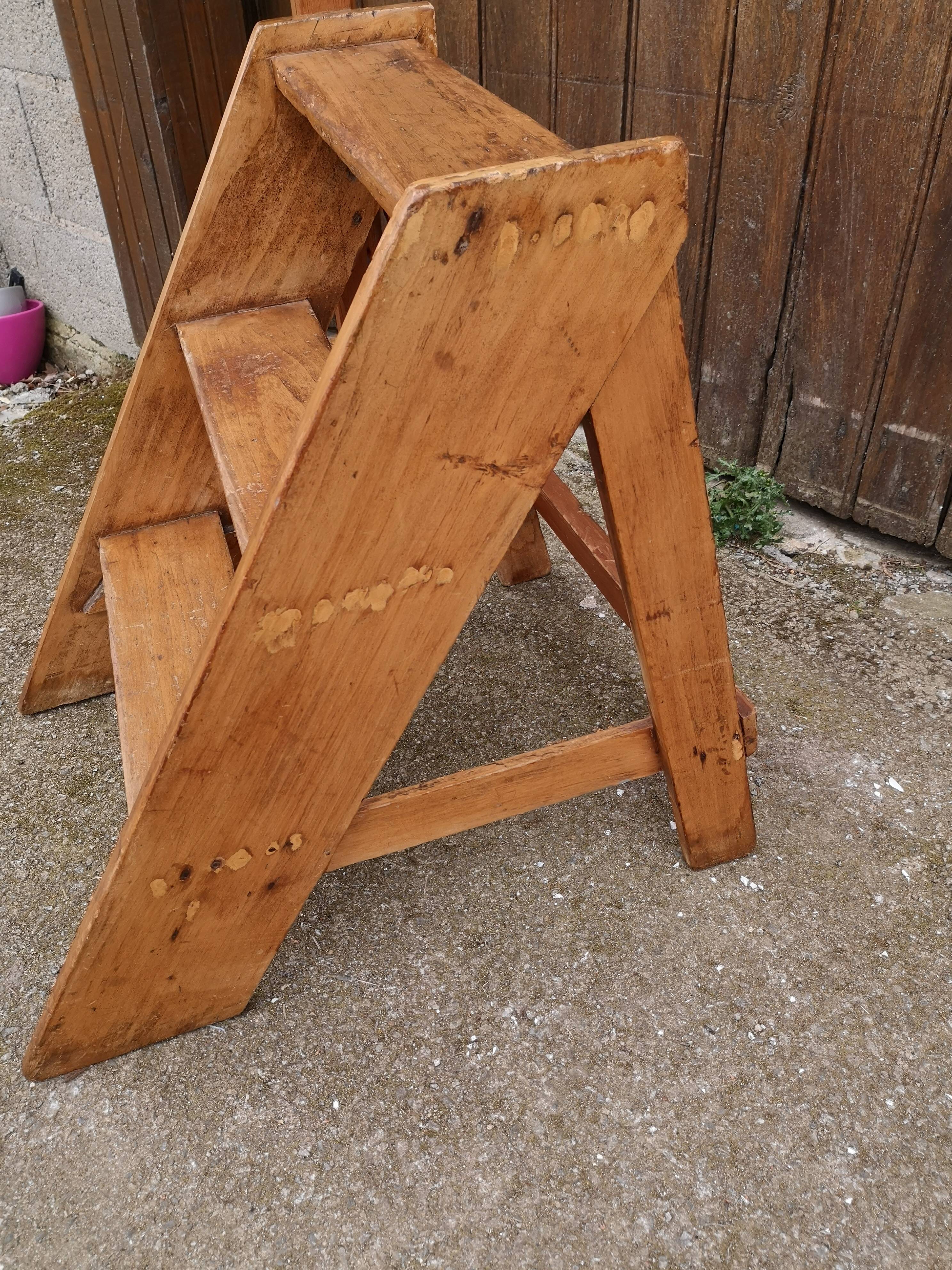 Library ladder said giraffe