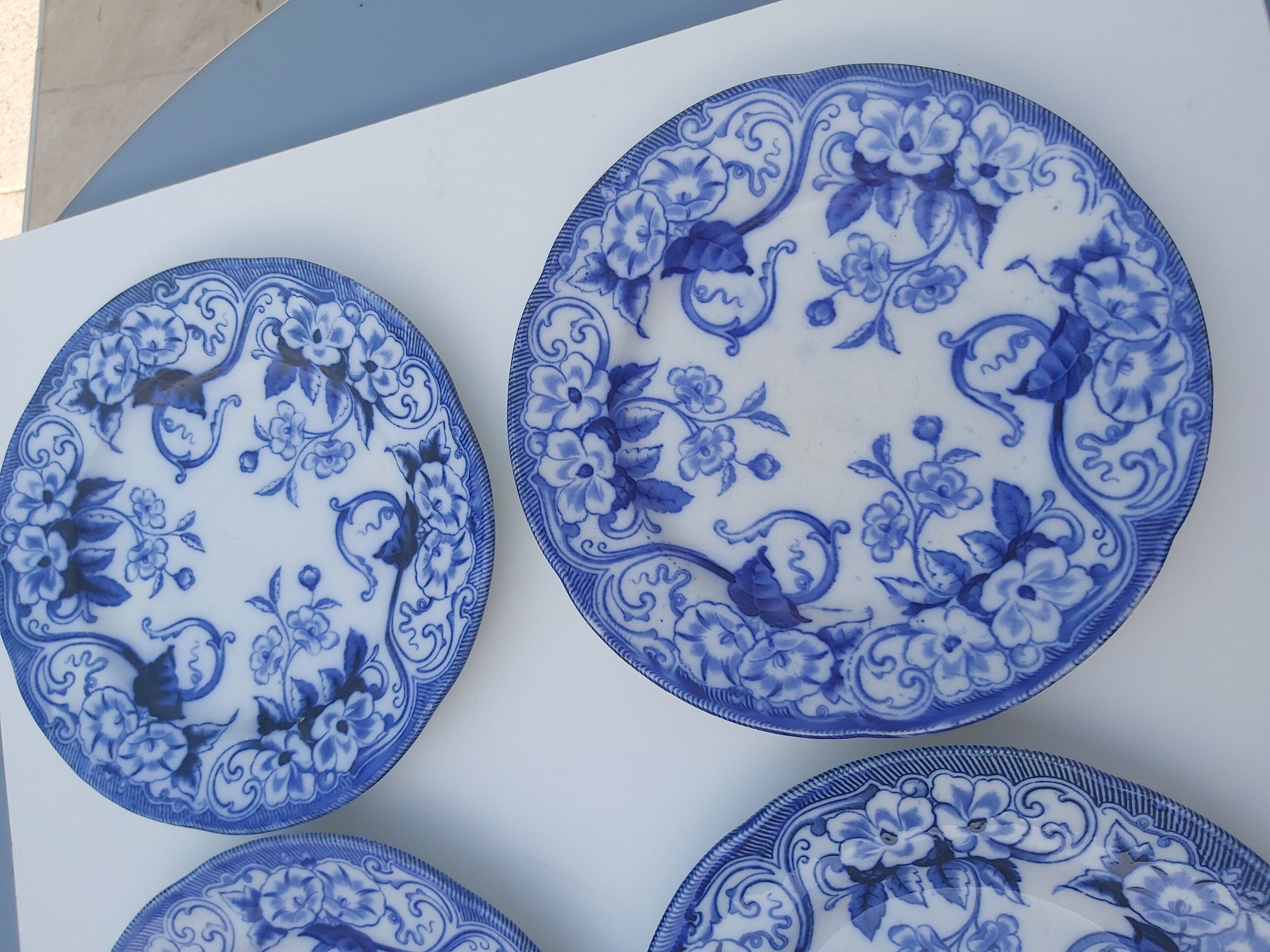 6 flat plates Creil and Montereau Flora