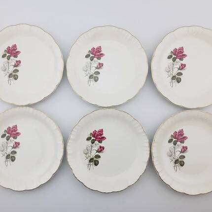 6 assiettes plates en porcelaine Digoin Sarreguemines - Modèle Sévigné