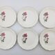 6 assiettes plates en porcelaine Digoin Sarreguemines - Modèle Sévigné