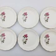 6 assiettes plates en porcelaine Digoin Sarreguemines - Modèle Sévigné