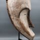 Fang mask