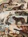 Lithographie gravure sur les fourrures de 1907 (lion)