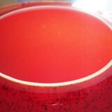 Pot-bellied, art deco vase in speckled ruby red multi-layered glass, white interior