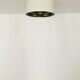 Danish Flush Lamp