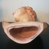 Children's bust in terracotta