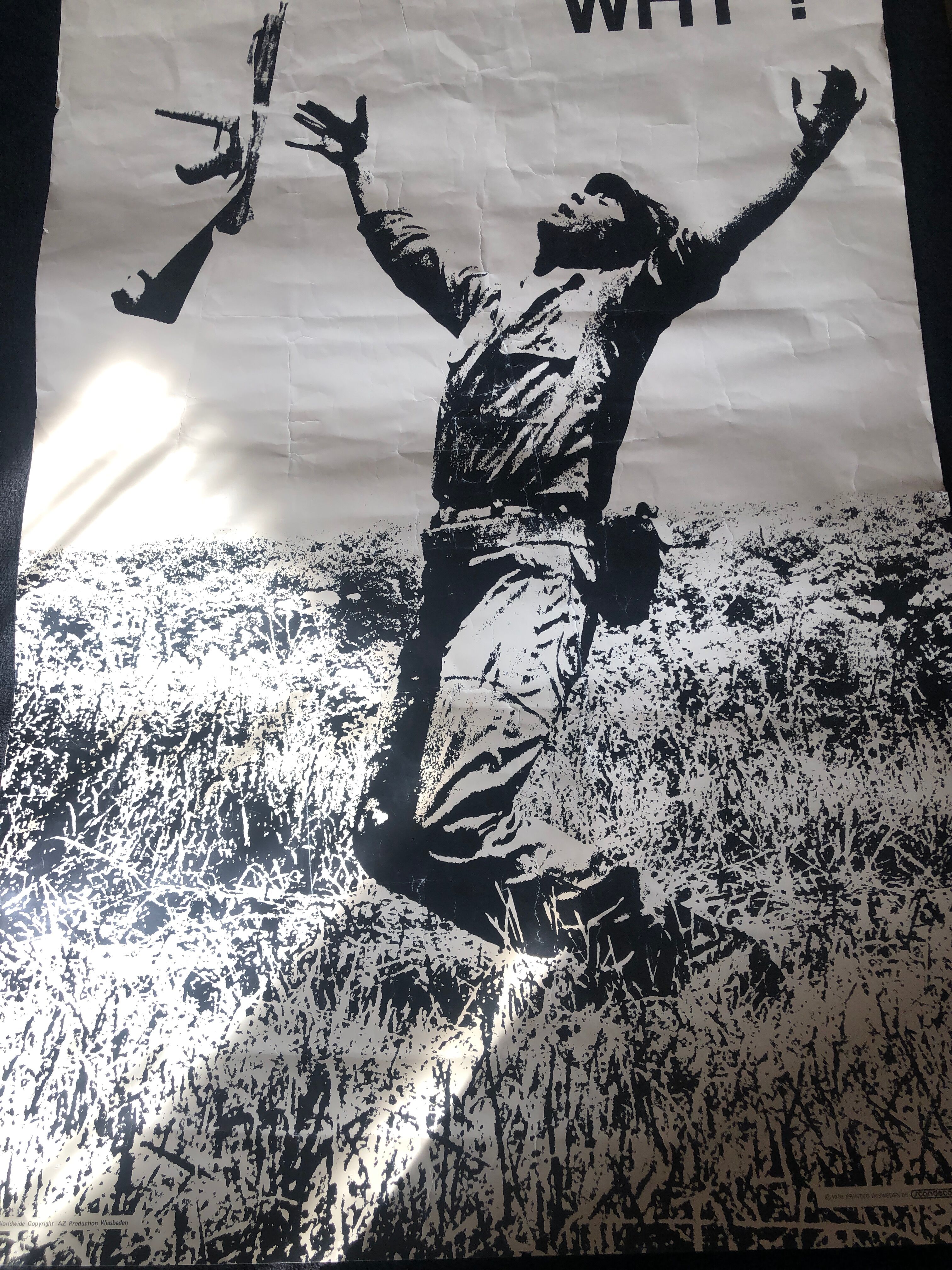 Poster WHY? Vietnam War