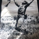 Poster WHY? Vietnam War