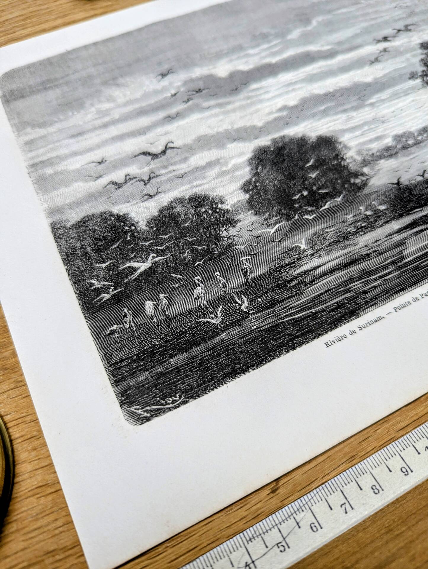 Suriname River, Parham. Printed illustration from 1866.