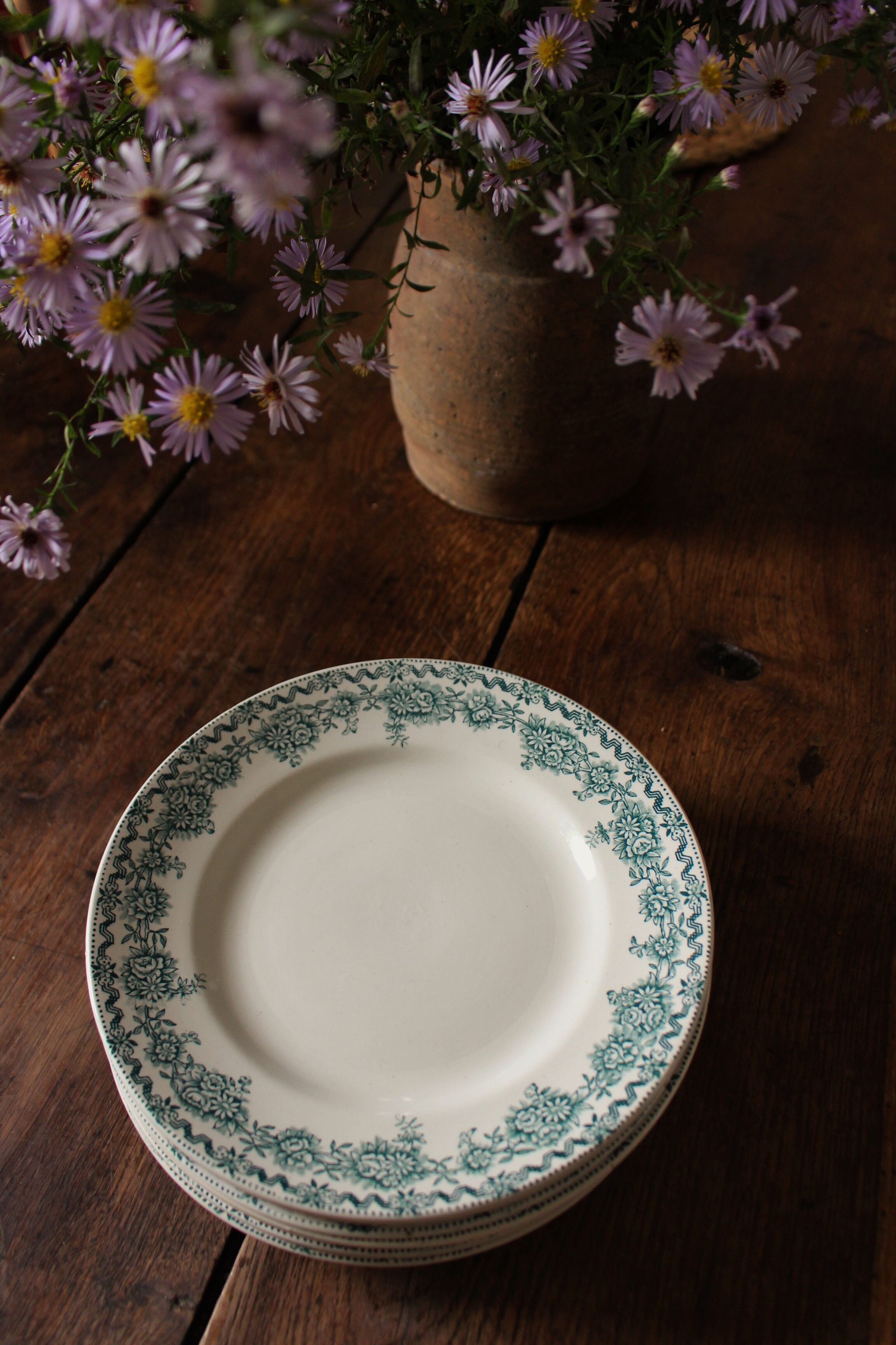 Lot 8 flat plates Terre de Fert vert Fleurs Argenton Saint Amand