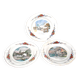 Sarreguemines set of 3 flat plates Obernai village Alsace by Loux