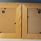 Two botanical paintings, lavender and Mediterranean pines