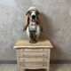 Small sanded chest of drawers