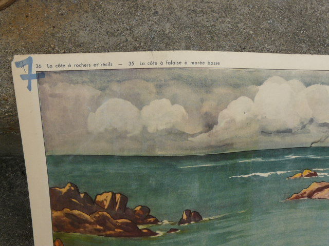Affiche scolaire Rossignol La côte à rochers et récifs d' un côté / la côte à falaise à marée basse