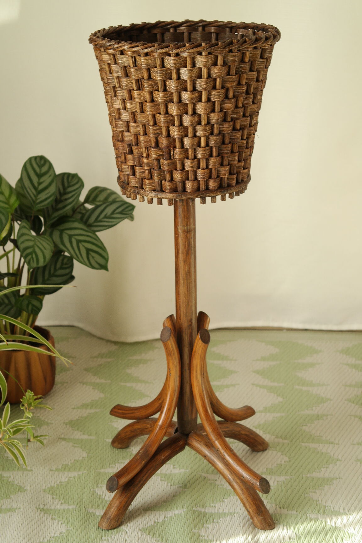 Sole-on-foot door in vintage braided reeded curved wood