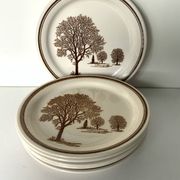 Assiettes vintage 70