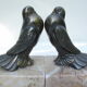 Serres livres oiseaux anciens