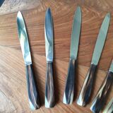 Service 12 horn handle knives